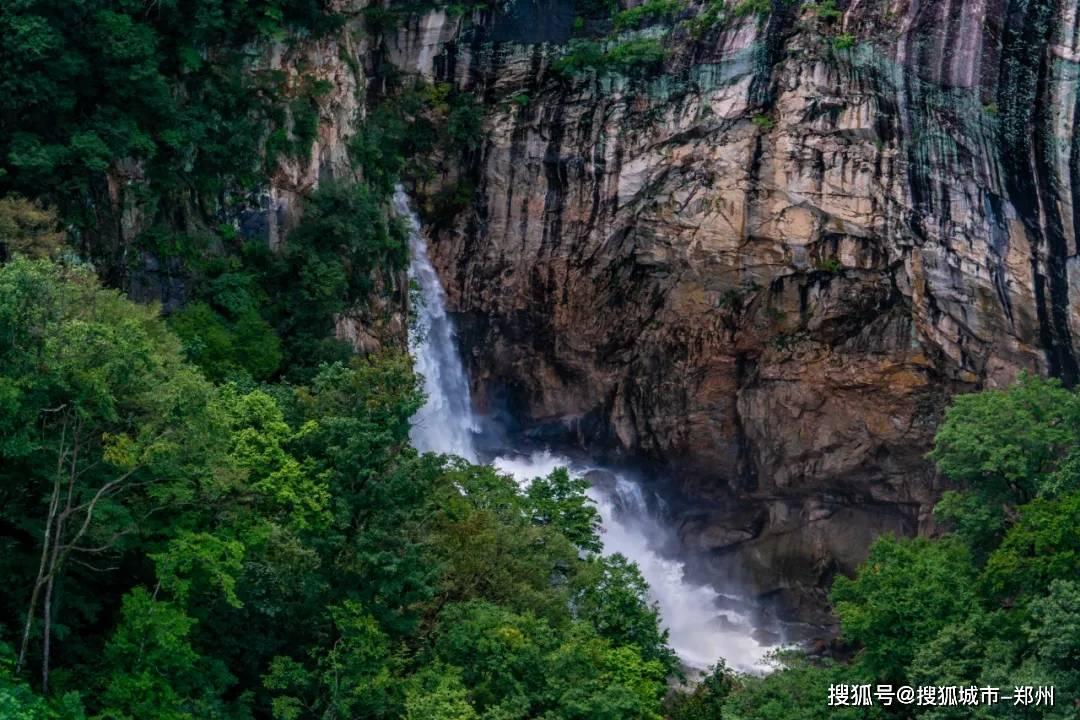 小猫钓鱼游戏龙王版有船